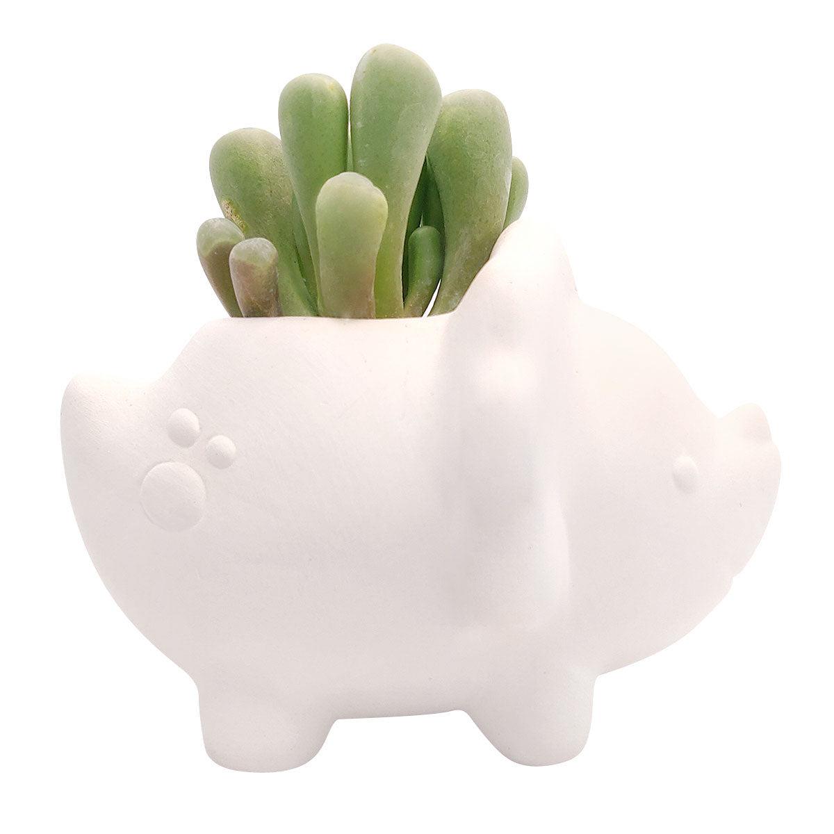 Triceratops Pot
