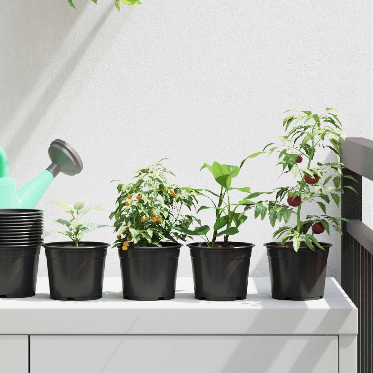 vidaXL Flower Pot 100 pcs Black  10 x 8 cm Plastic