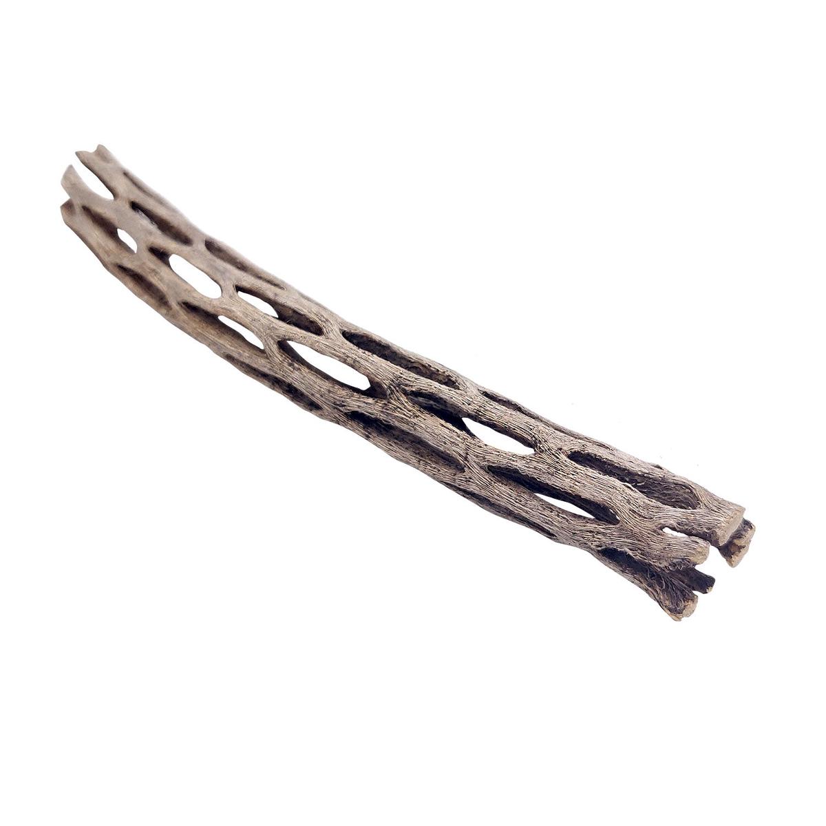6 inch Staghorn Cholla Wood Planter - 6'' long x 1'' wide