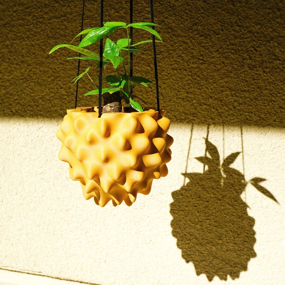 The Creature Orb Hanging Planter Pot With Drainage Terracotta7InchWithoutDrainage