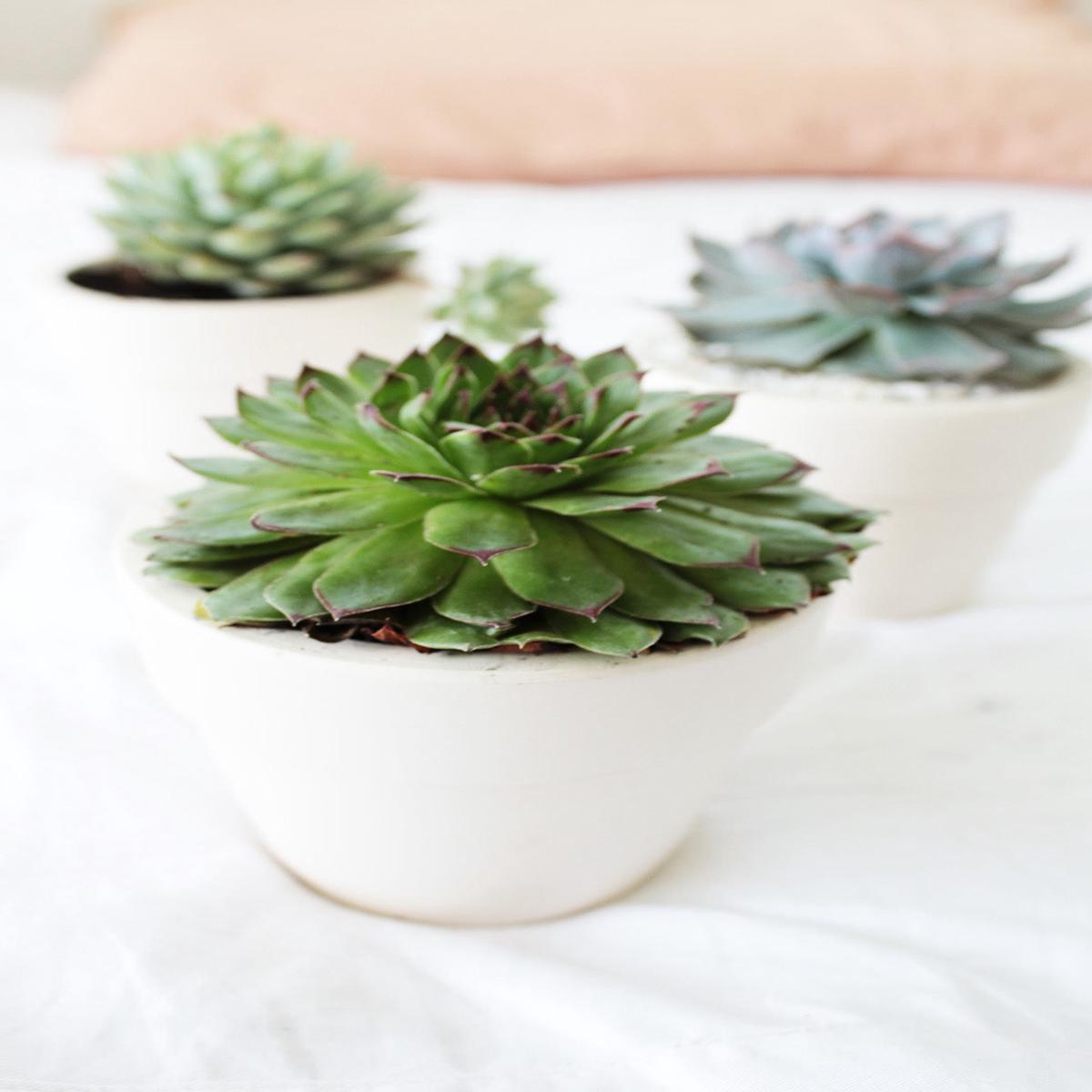 4'' White Clay Planter