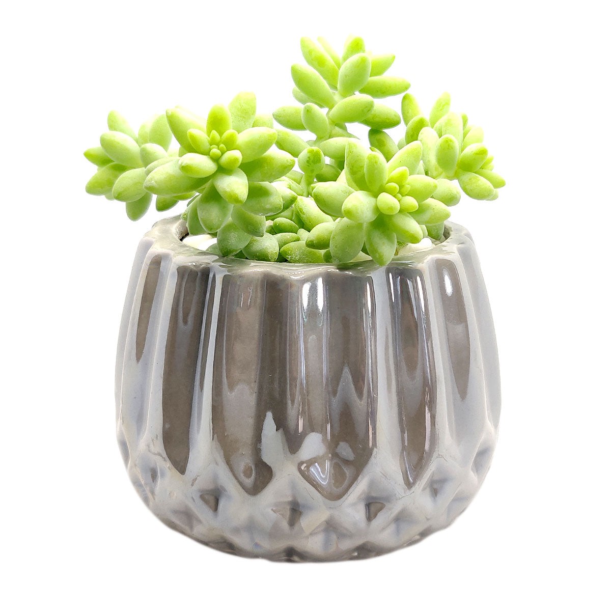 Silver Modern Geometric Planter