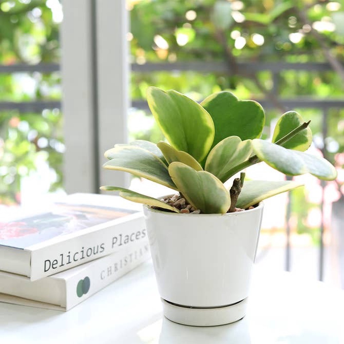 4" White Clay Saucer