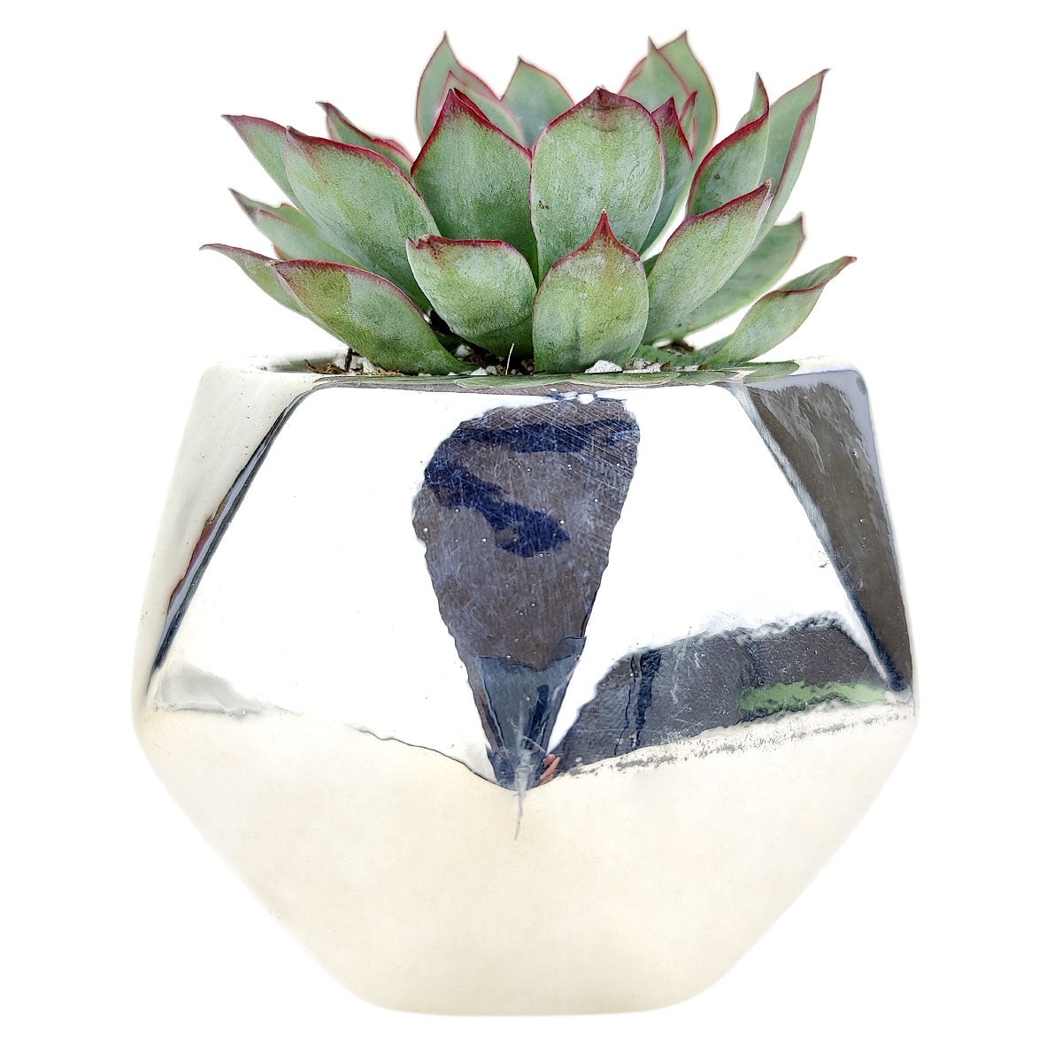 Silver Hexagon Planter