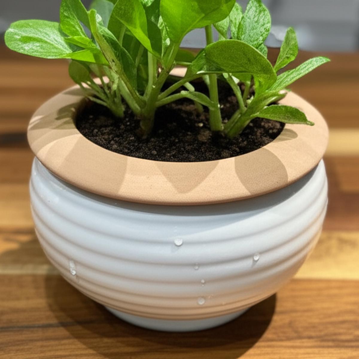 6 inch Off-white Selfwatering Pot