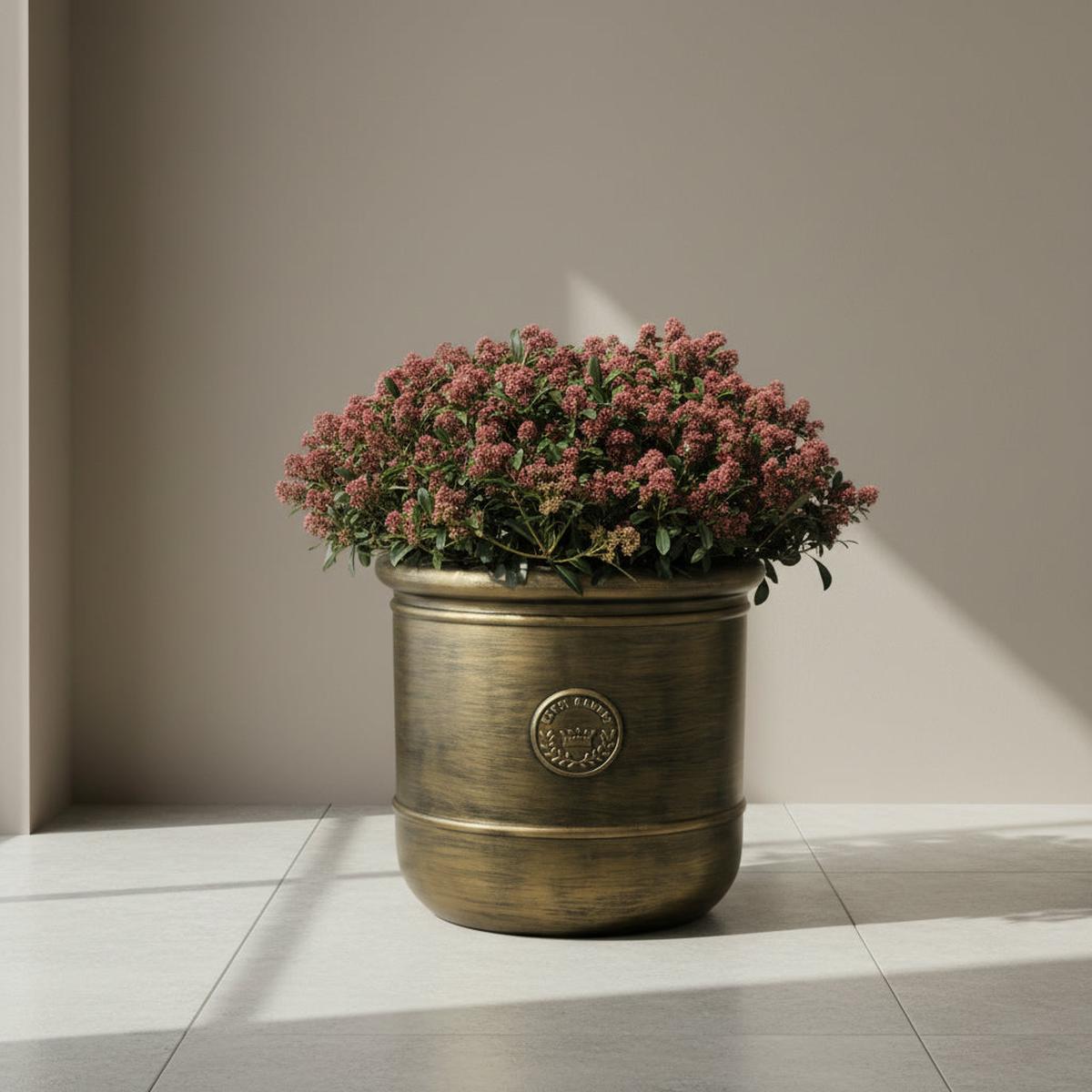 TGC Royal G Planters