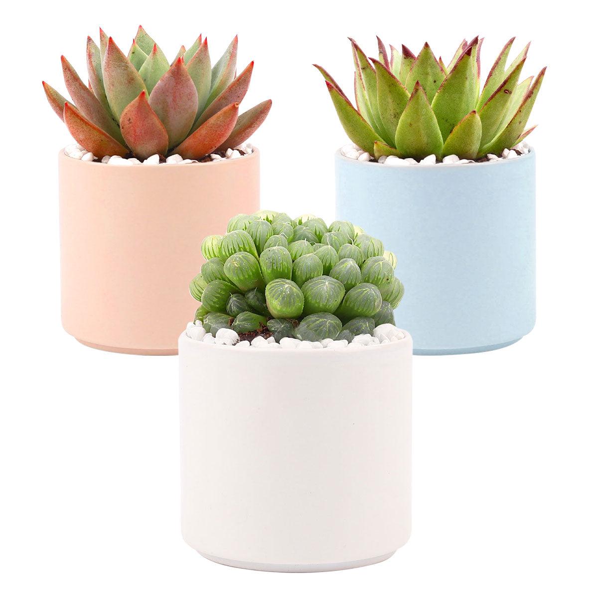 3 Pack Modern Cylinder Pots - Large