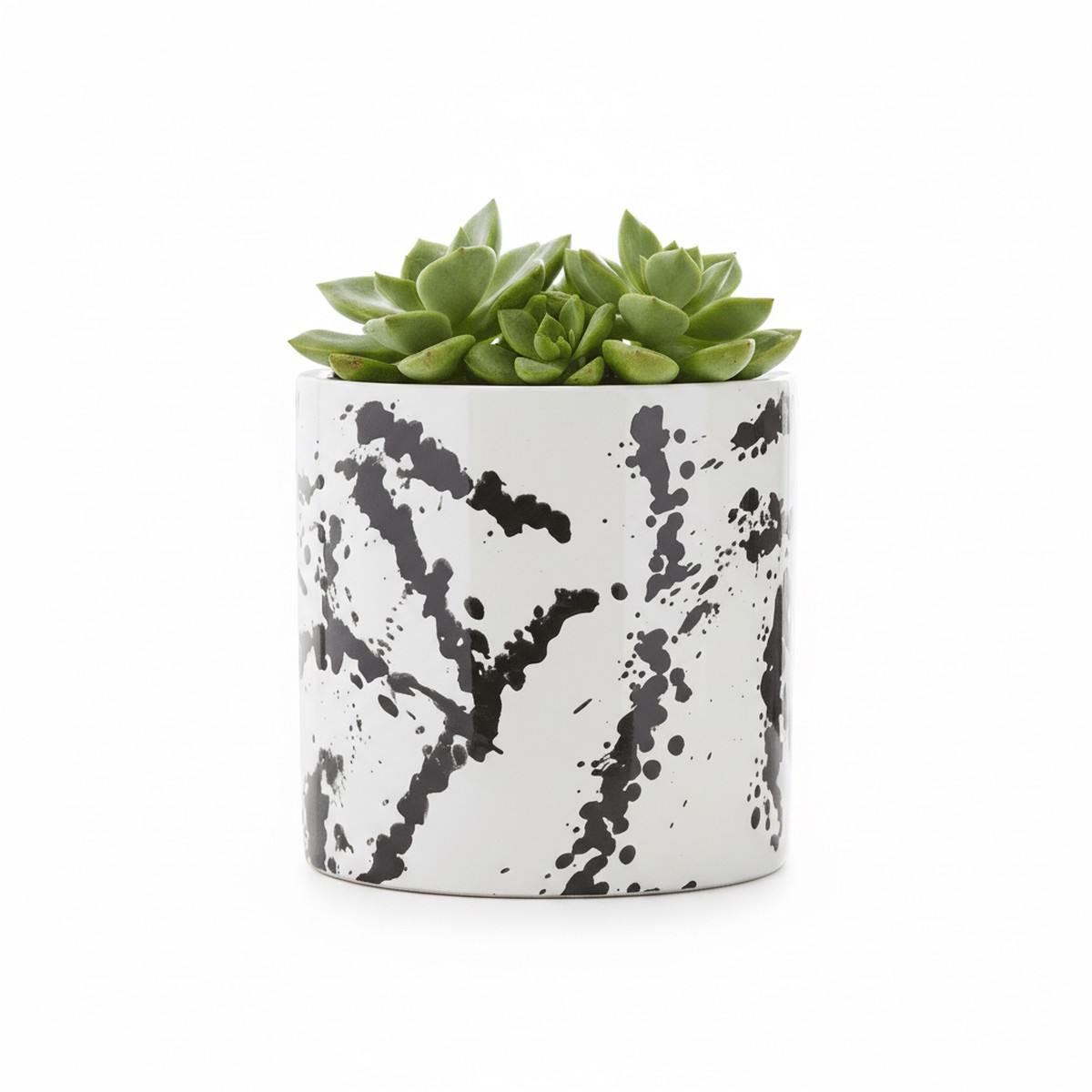 Sorrell Black And White Small Planter