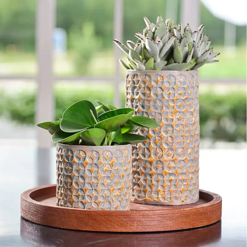 Terni Mustard Indoor Ceramic 14cm Pot