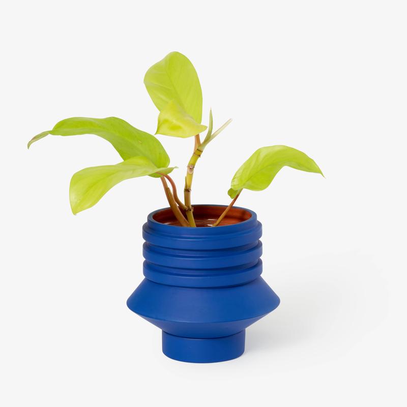 Areaware | Strata Plant Vessel: Blue