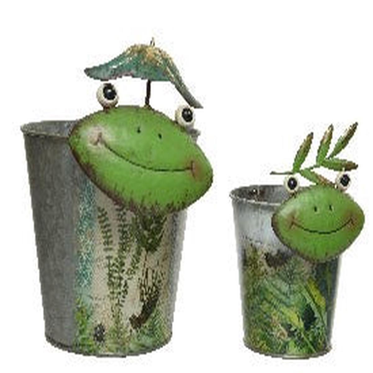 Small Iron Planter with Frog Face