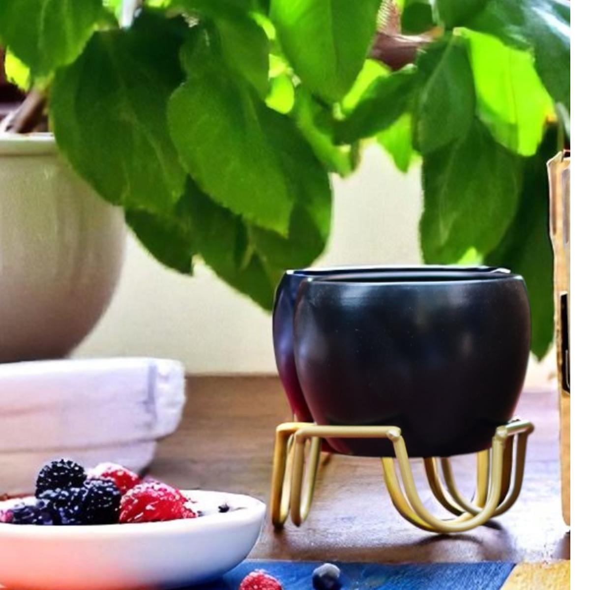 Small Black Pot in Zig Zag Stand 1107 A