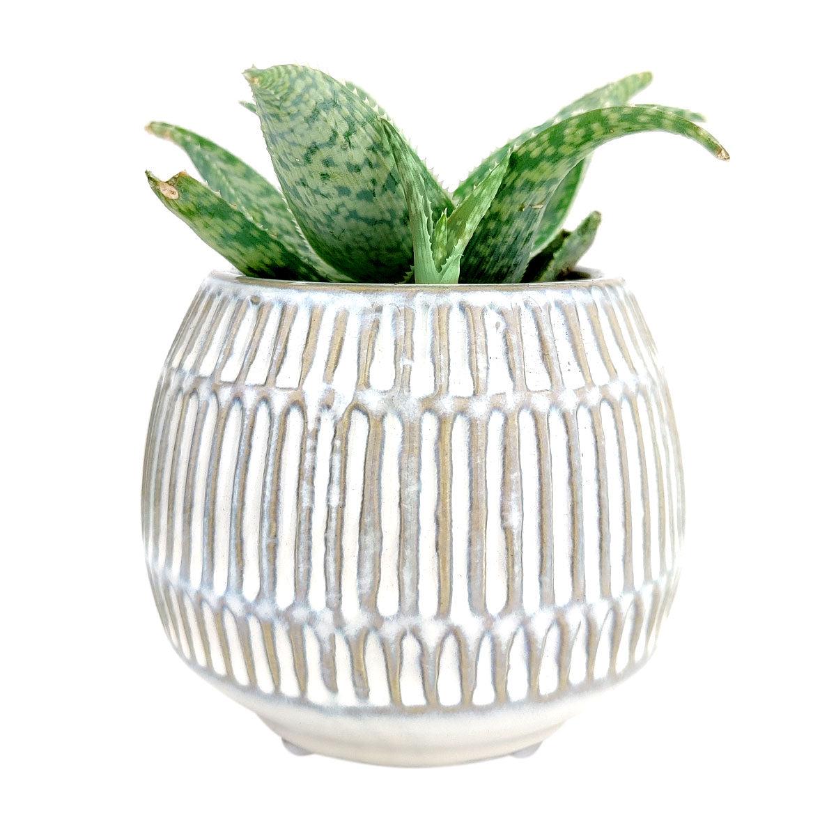 Round Texture Cream Planter