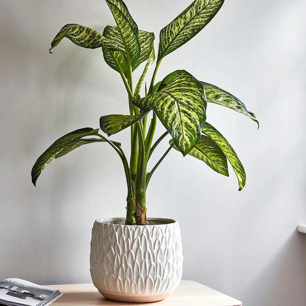 Arles Leaf Embossed White Planter 17cm Height 18cm Width