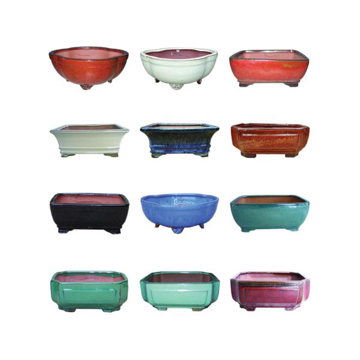 6" Professional Bonsai Pot