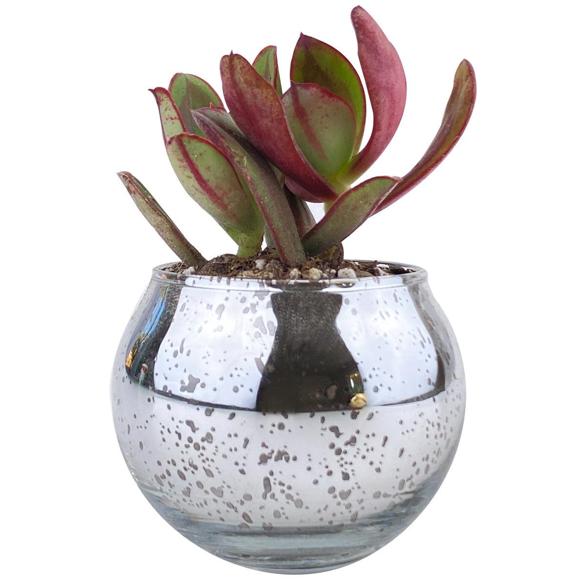 Round Silver Glitter Pot