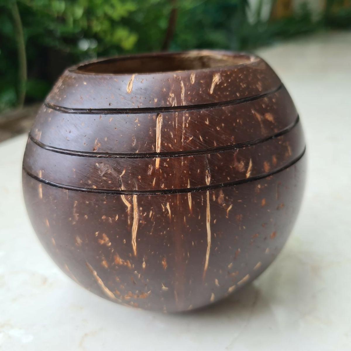 Thenga Coconut Shell Three line Planter Pots | Ideal for Succulents, Small Cacti, Herbs and Small Plants (Set of 1)