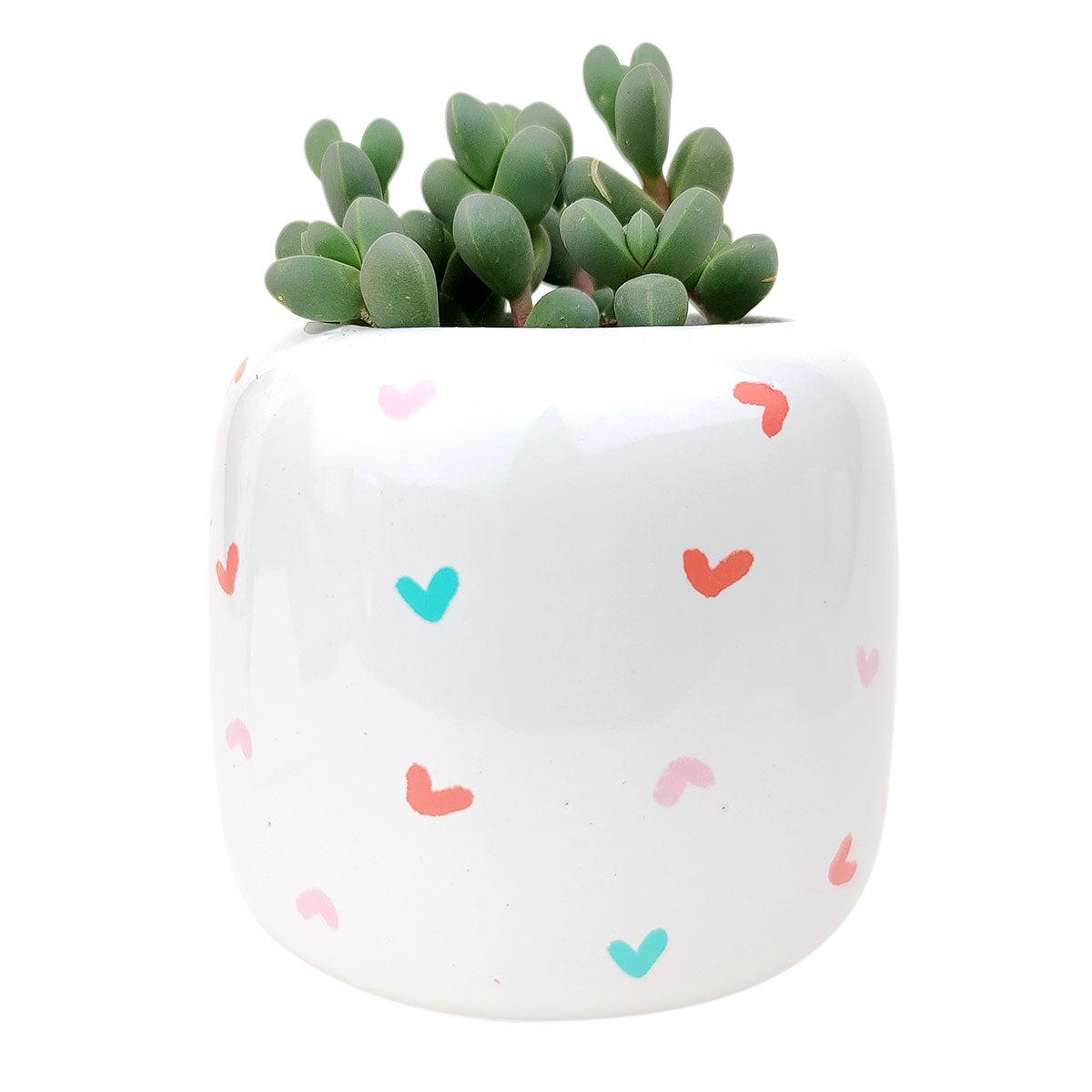 Tiny Heart Planter