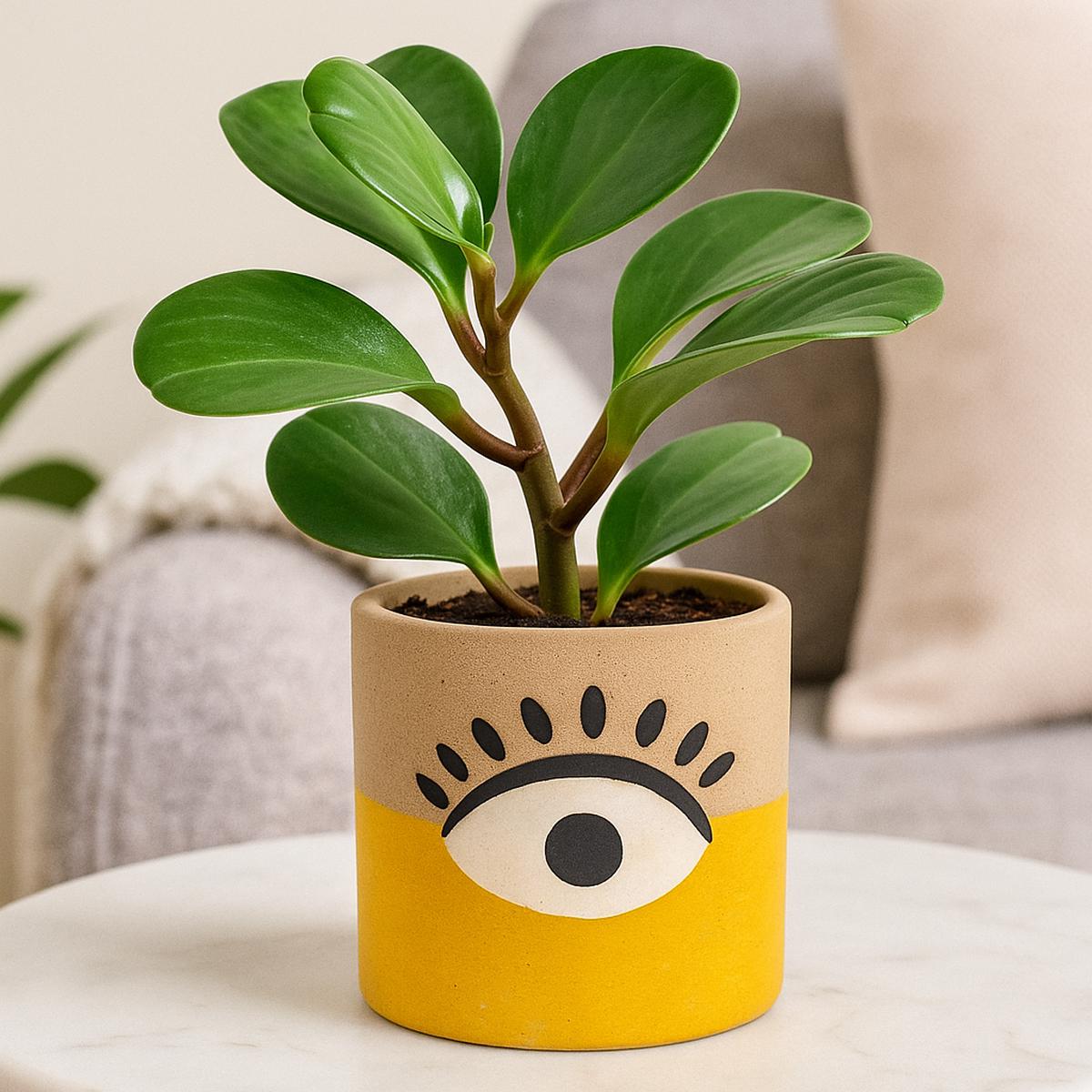 3 inch Mystical Eye Ceramic Pot