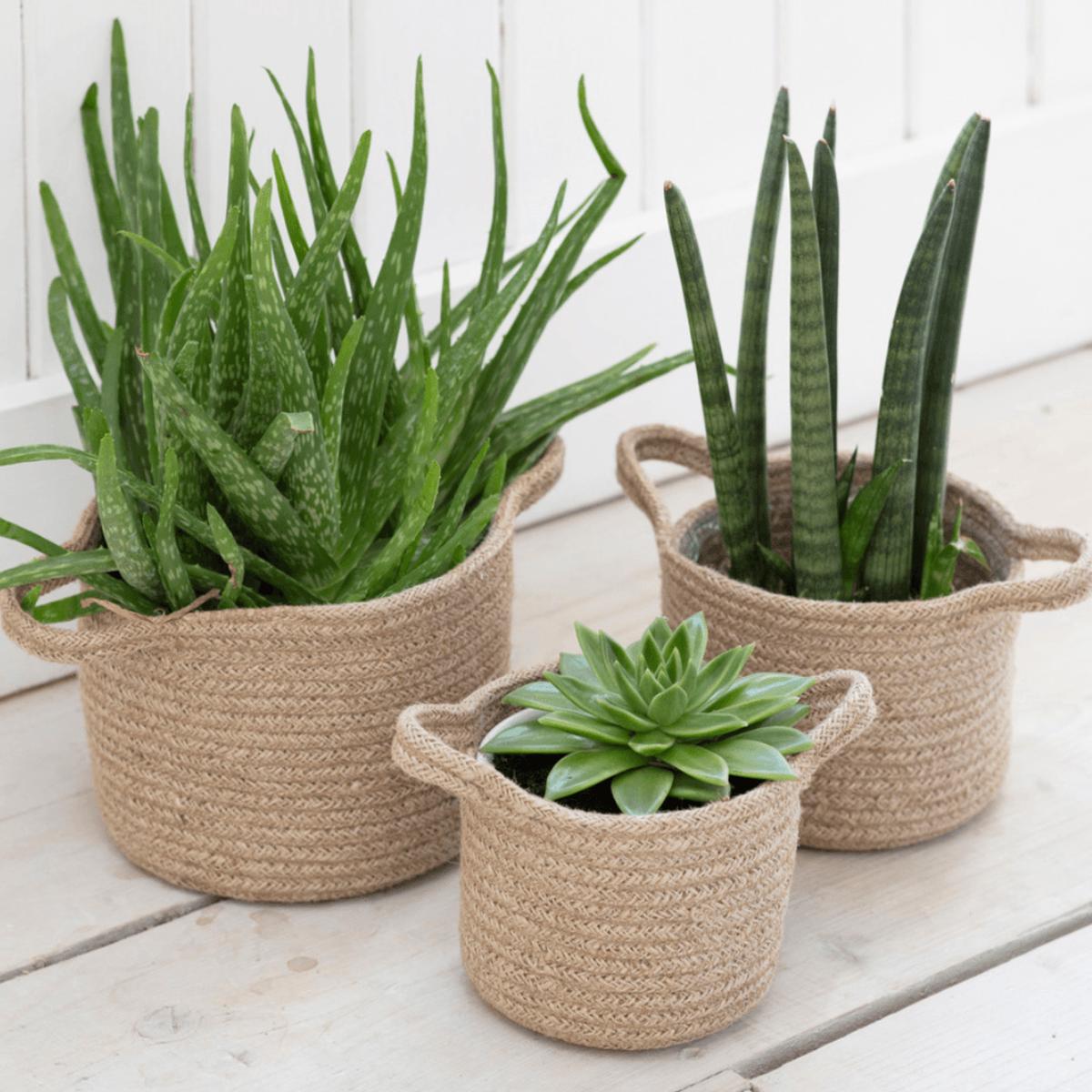 Woven Plant Pots
