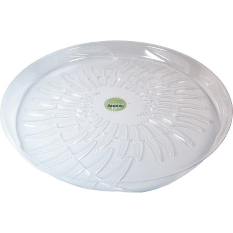 17" LiteLine Saucer Fern