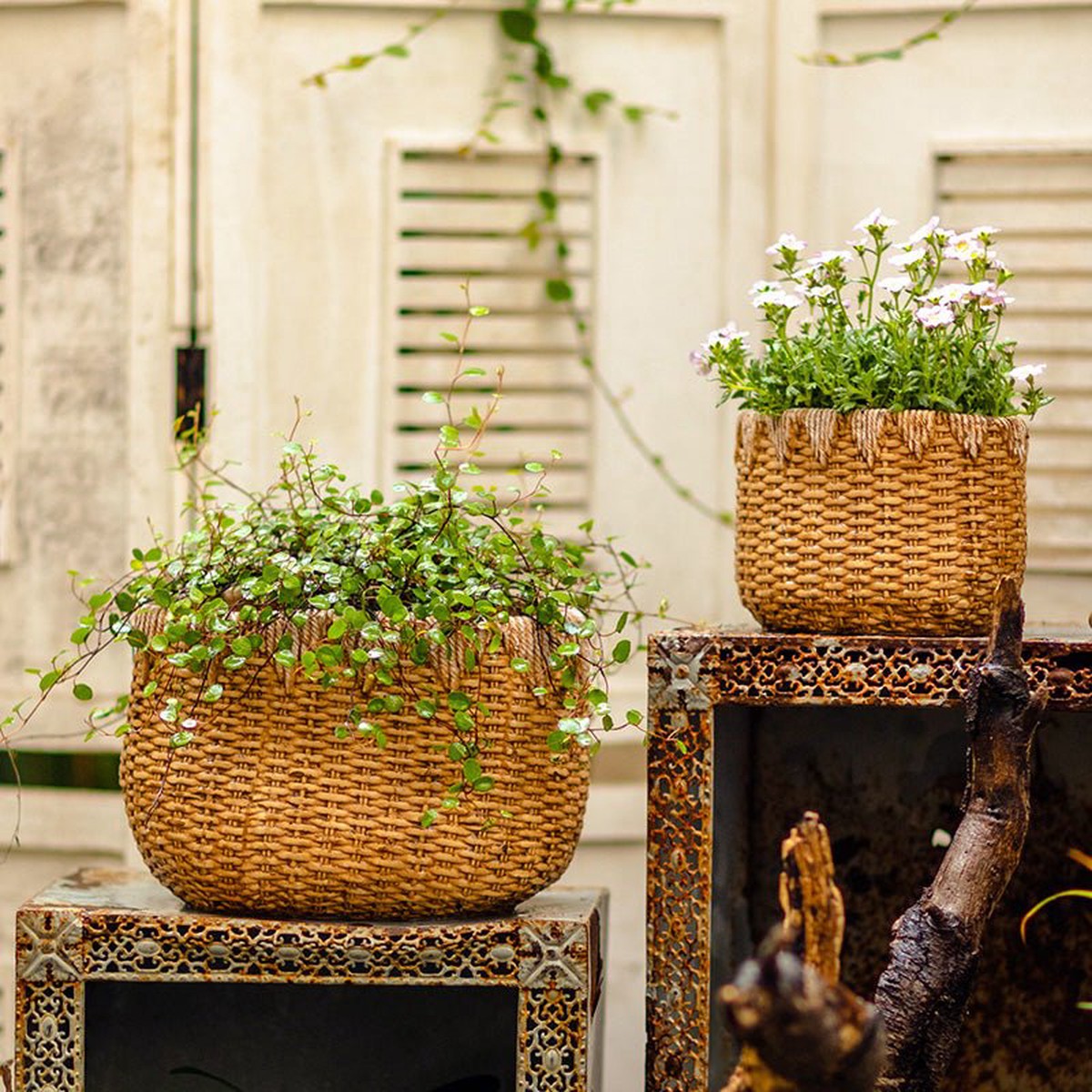 Straw Basket Cement Planter - Various Sizes Small